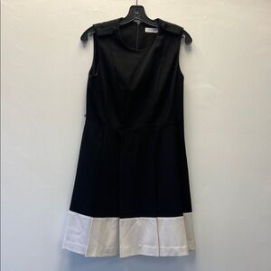 Calvin Klein Black and White Mini Dress